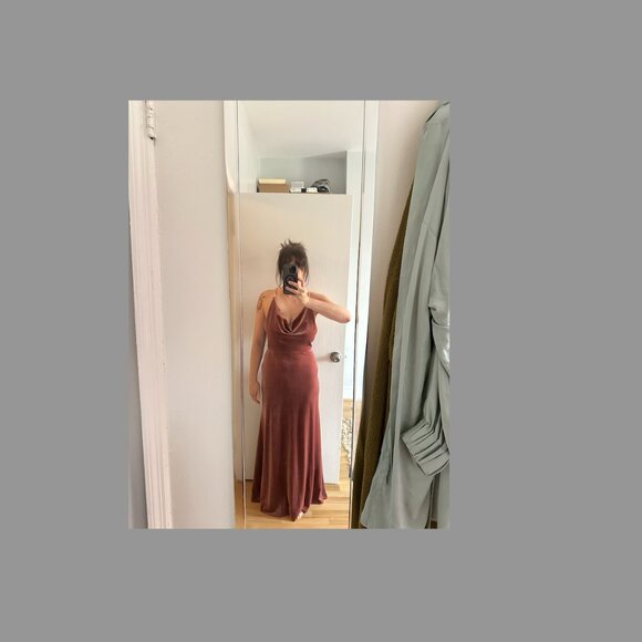 Jenny Yoo - Sullivan dress - color- English Rose - size 4 - Picture 6 of 6